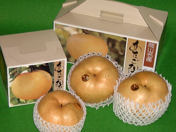 愛宕梨