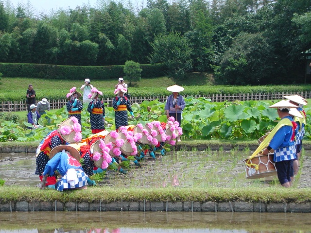 岡山後楽園　お田植え祭