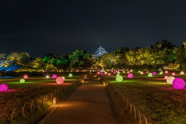 岡山後楽園　夏の幻想庭園