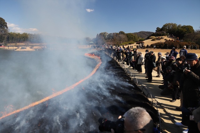 岡山後楽園　芝焼き
