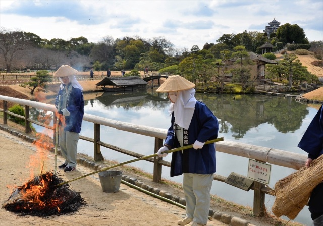 岡山後楽園　松の菰焼き