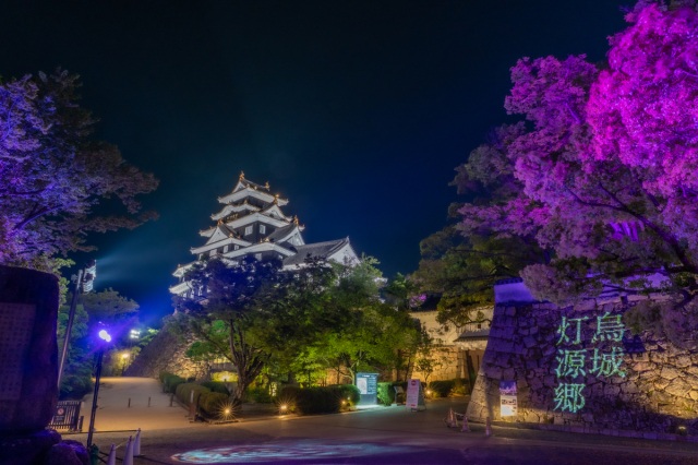 岡山城　春の烏城灯源郷