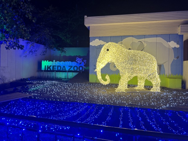 池田動物園　光のナイトズー2025