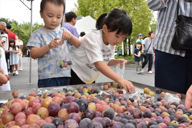 【2025年】第22回 つやまふれあいぶどう祭り