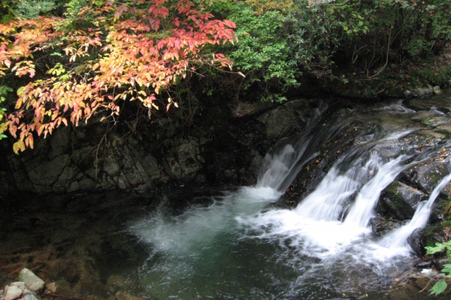 【中止】白賀渓流紅葉まつり