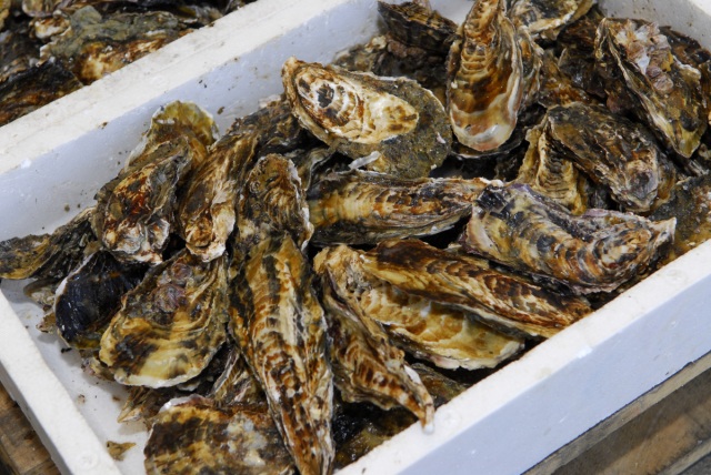 道の駅 黒井山グリーンパーク 虫明の牡蠣まつり