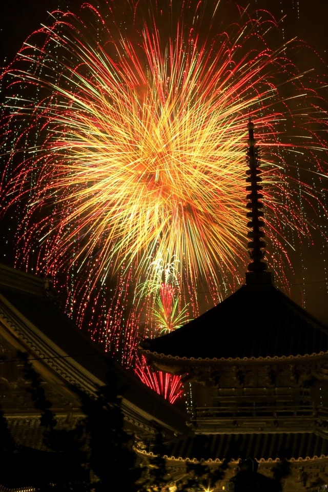 会陽冬花火