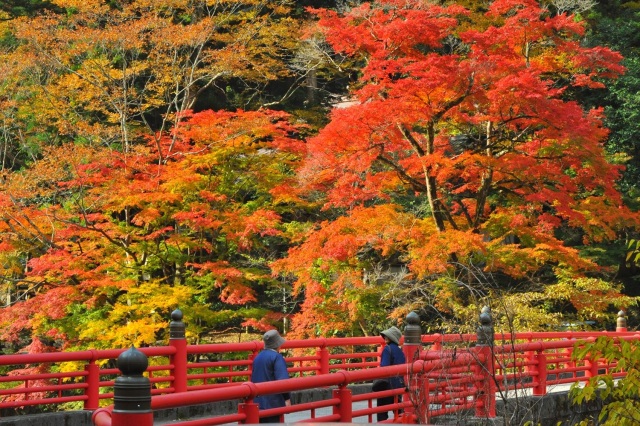 天神峡
