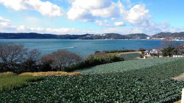前島（島内各所）