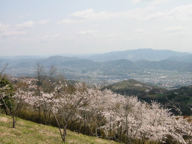 高倉山