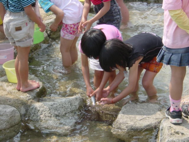 日名倉養魚場
