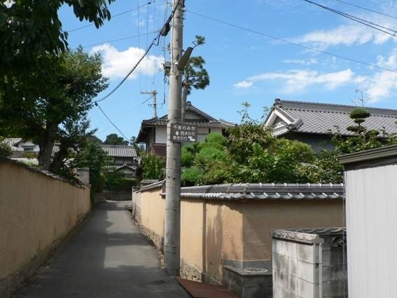 不老のみち