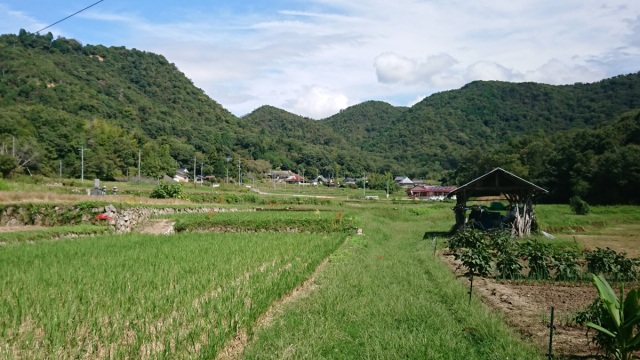 羽無地区