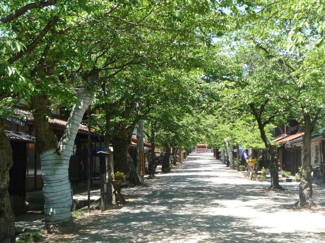 新庄地区