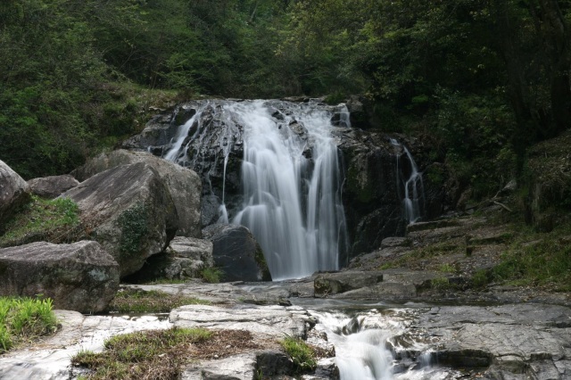 鳴滝森林公園