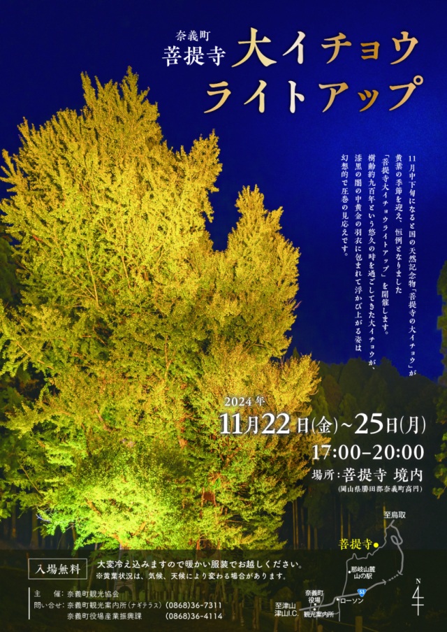 菩提寺大イチョウライトアップ