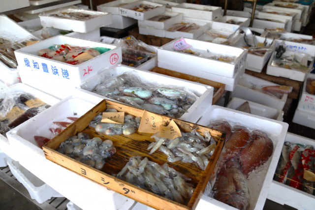 笠岡市大島美の浜漁協朝市