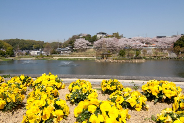 山川池親水公園