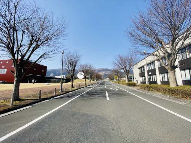 奈義町シンボルロード