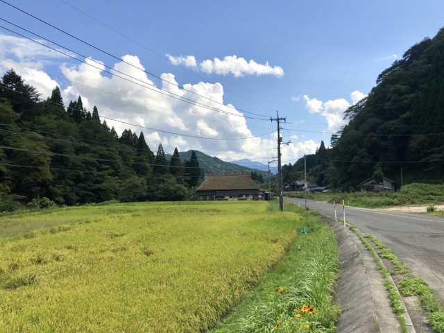 自然体験活動施設おおすぎ