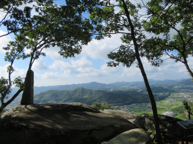杉谷の里山・杉山