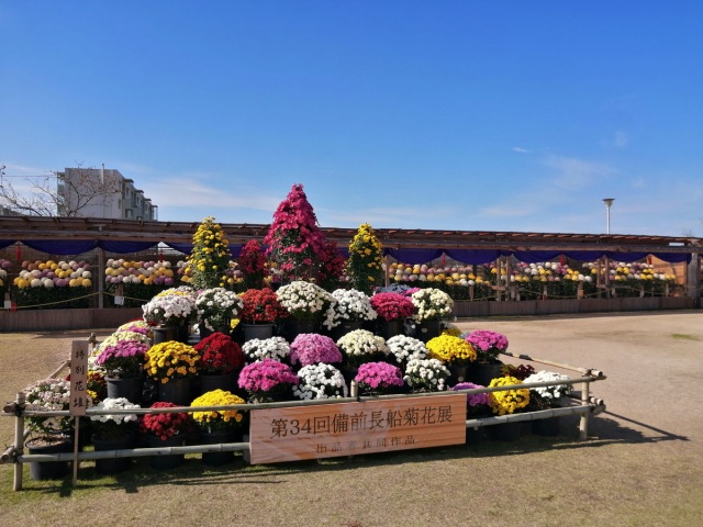 第39回 備前長船菊花展