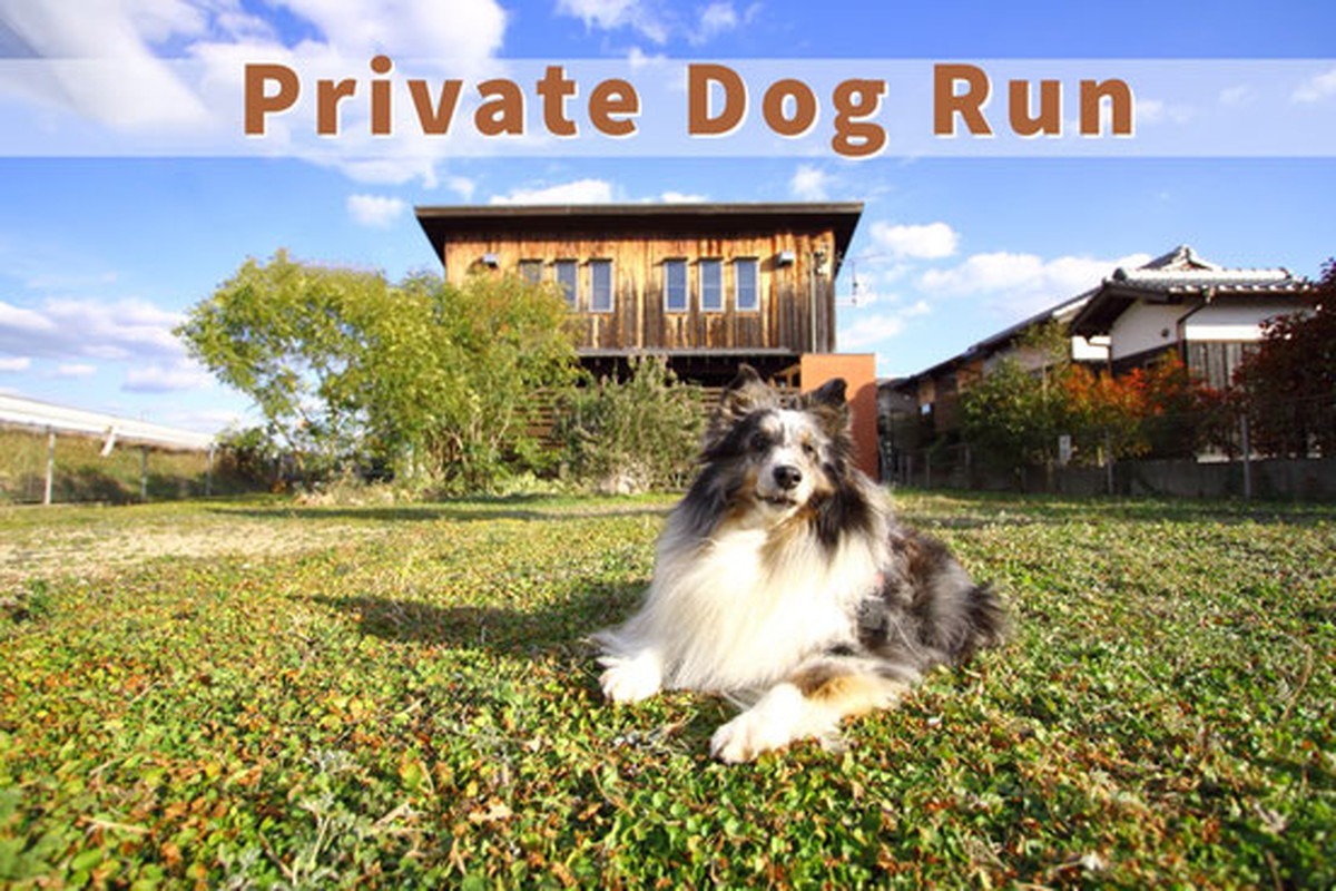 54坪のドッグラン