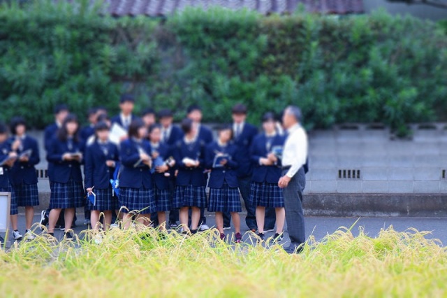 岡山県木村式自然栽培実行委員会