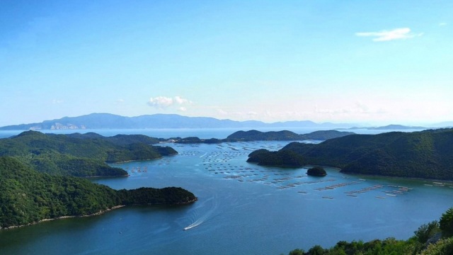 夕立受山