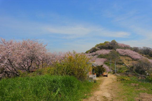寄島園地