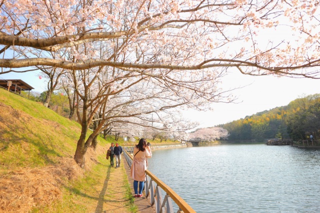 丸山公園