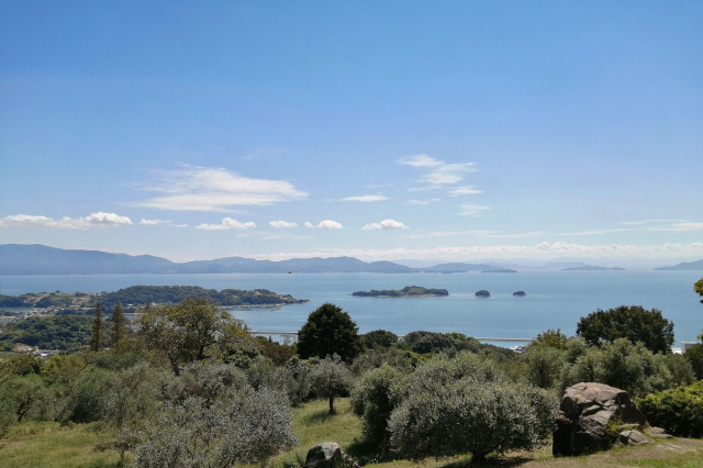 【2026年】牛窓オリーブ園 開園84周年アニバーサリー