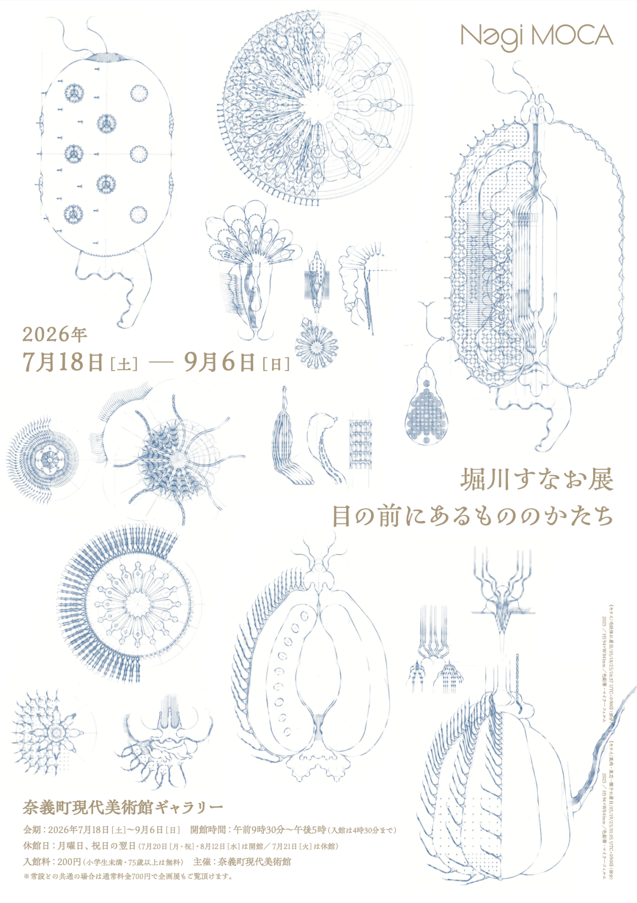 チラシ表