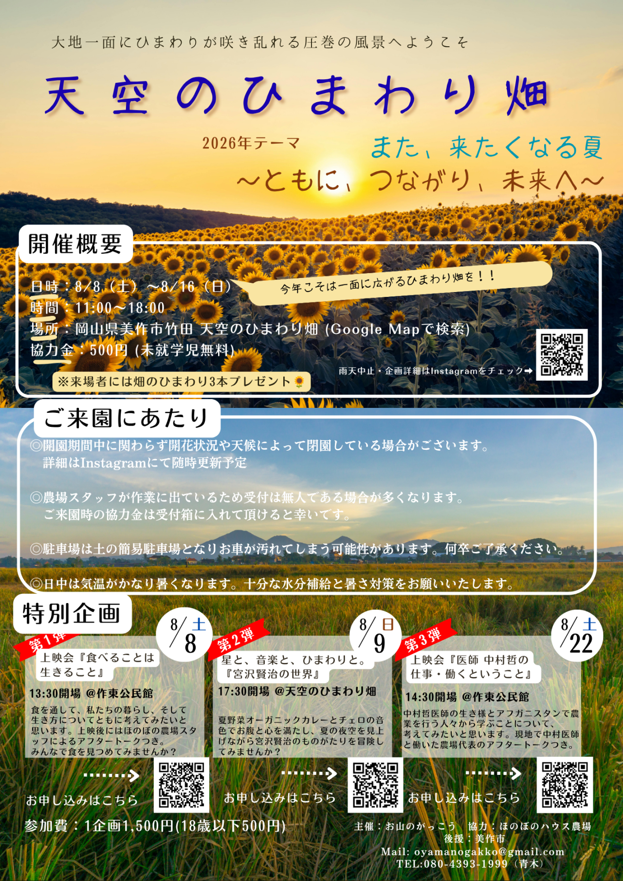 チラシ