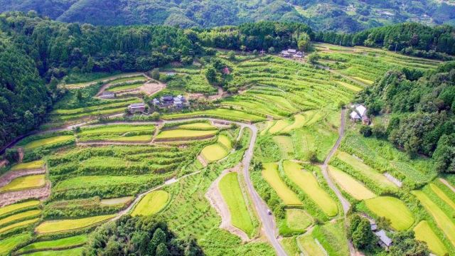 上籾棚田