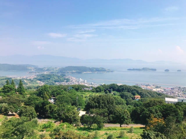 牛窓オリーブ園　オリーブの花散歩ポイントラリー