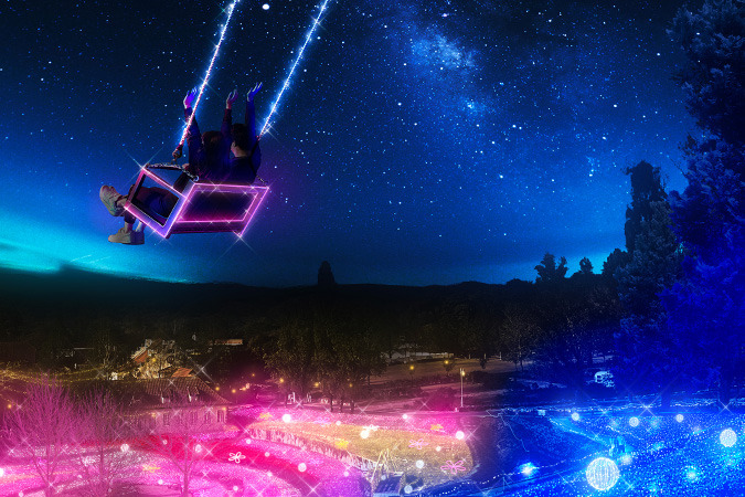 大きな森のブランコ(イルミネーションver)