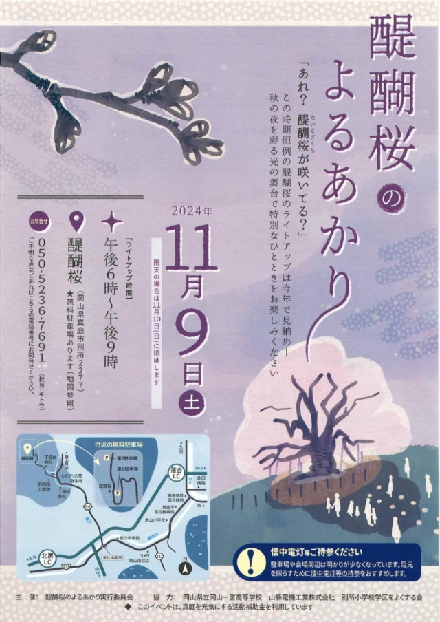 醍醐桜のよるあかり