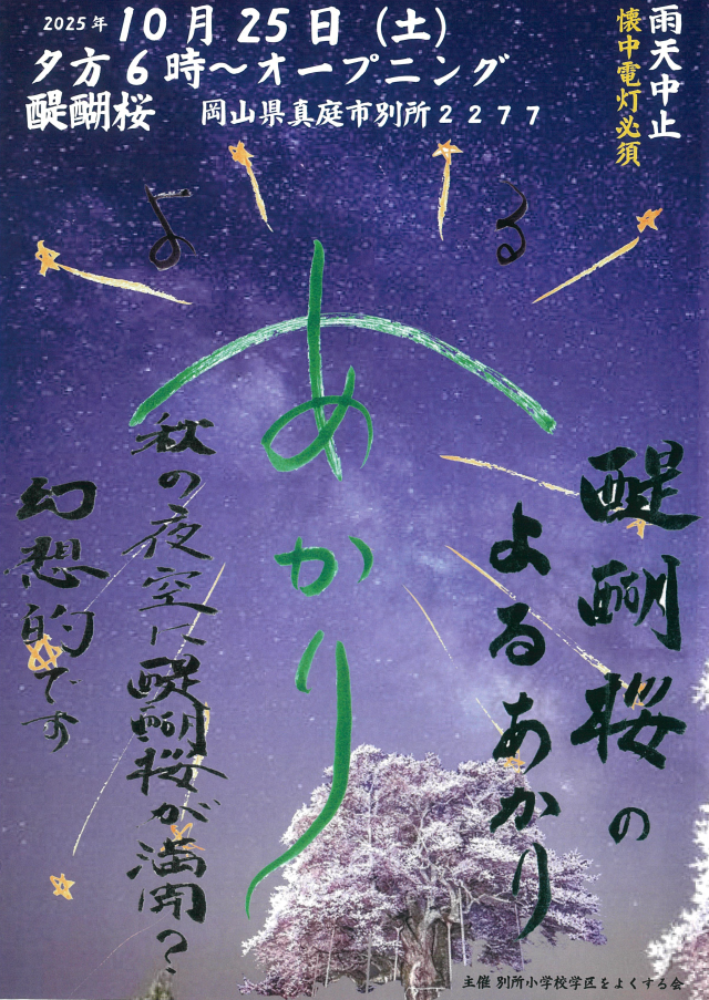【2025年】醍醐桜のよるあかり