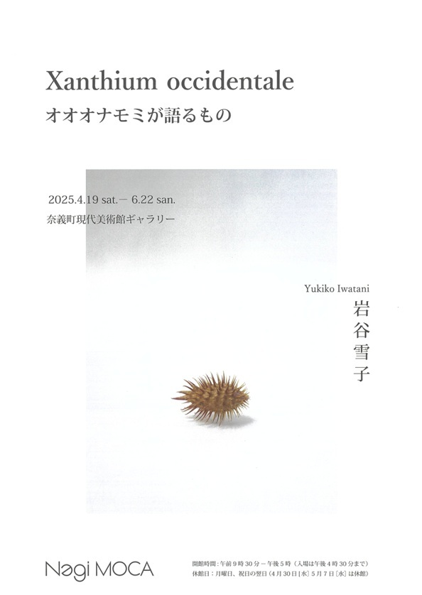 奈義町現代美術館「岩谷雪子 Xanthium occidentale オオオナモ…