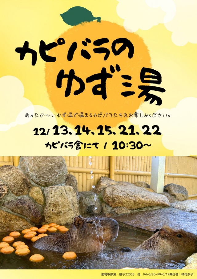 池田動物園　カピバラのゆず湯