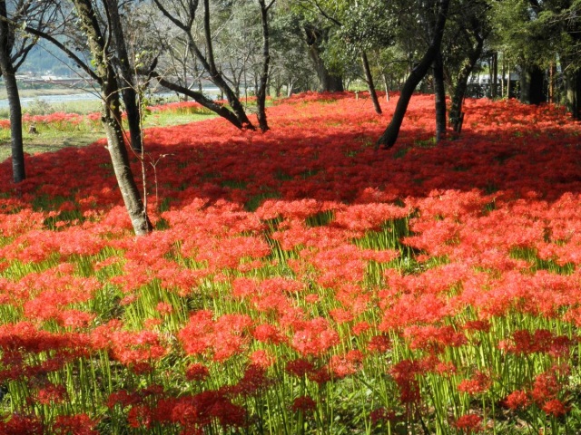 森の芸術祭“真庭”アートツアー　～めぐる　つながる　まにわ～