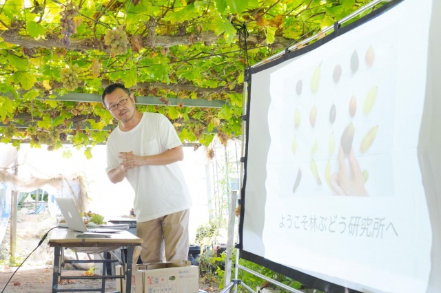 【要予約】ツウになるフルーツ探訪「林ぶどう研究所」　～林慎…