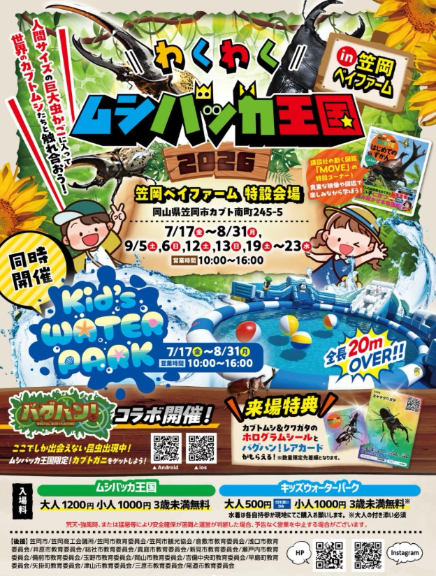 チラシ表