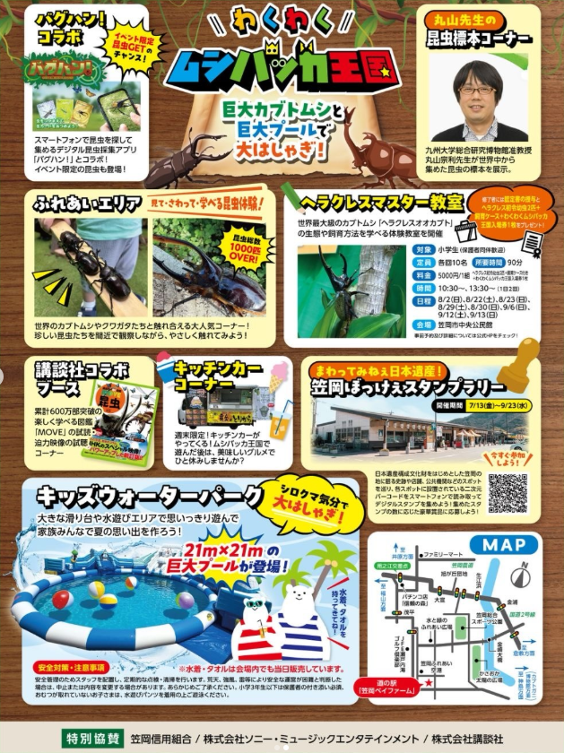 チラシ裏