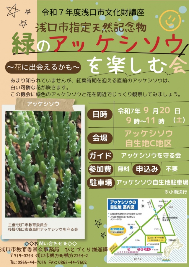 【2025年】緑のアッケシソウを楽しむ会