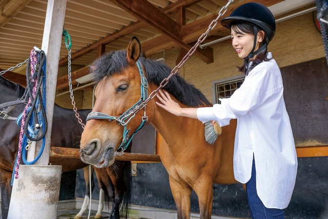 【体験型ツーリズム】岡山乗馬倶楽部　サンクスホースプラット…