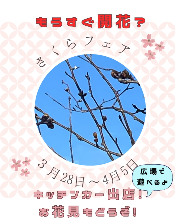 【2026年】道の駅 黒井山グリーンパーク　さくら祭り