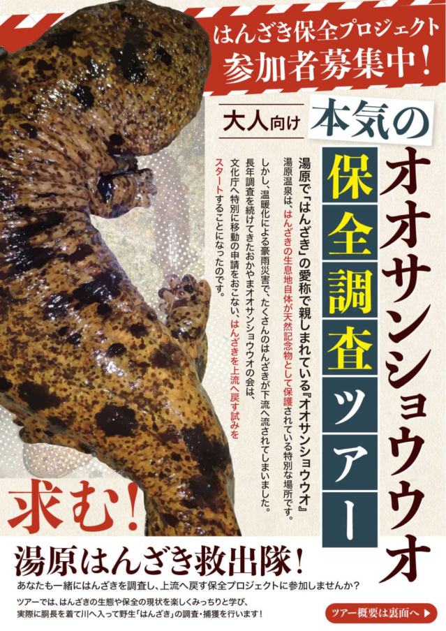 【要予約】オオサンショウウオ保全調査ツアー　追加開催（英語説明）