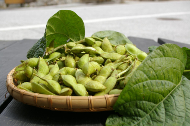 作州黒（黒大豆）